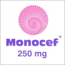 Monocef 250 mg 300 X 300 px